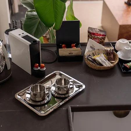 Voger View * ספנג'ה